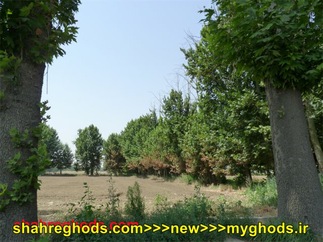 عکس های زیبای شهرقدس